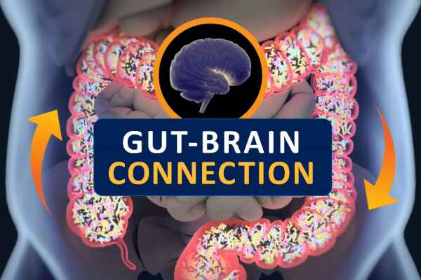 Gastrointestinal Complications of Stress: Understanding the Mind-Gut Connection