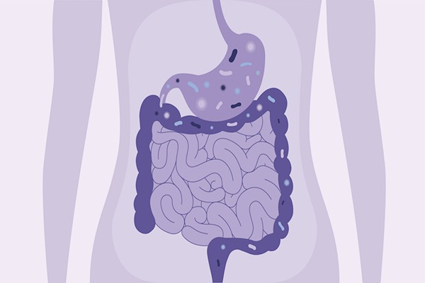 Gut Health and Immunity — How a Healthy Digestive System Protects You
