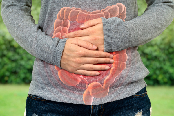 Gut Health Reset After Holidays: How to Repair Your Digestive System in January