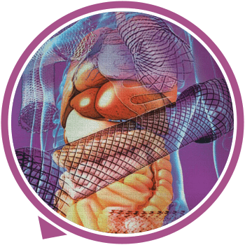 Metallic Stents Placement ( SEMS)