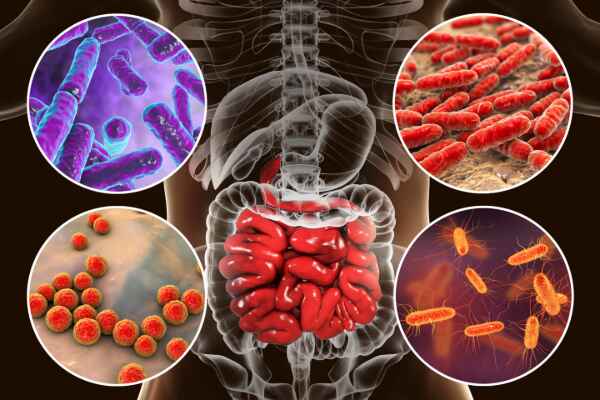 The Importance of Gut Microbiome: How It Impacts Your Digestive Health